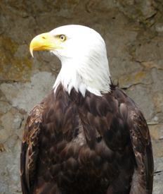 2009-15-04-Passaufahrt